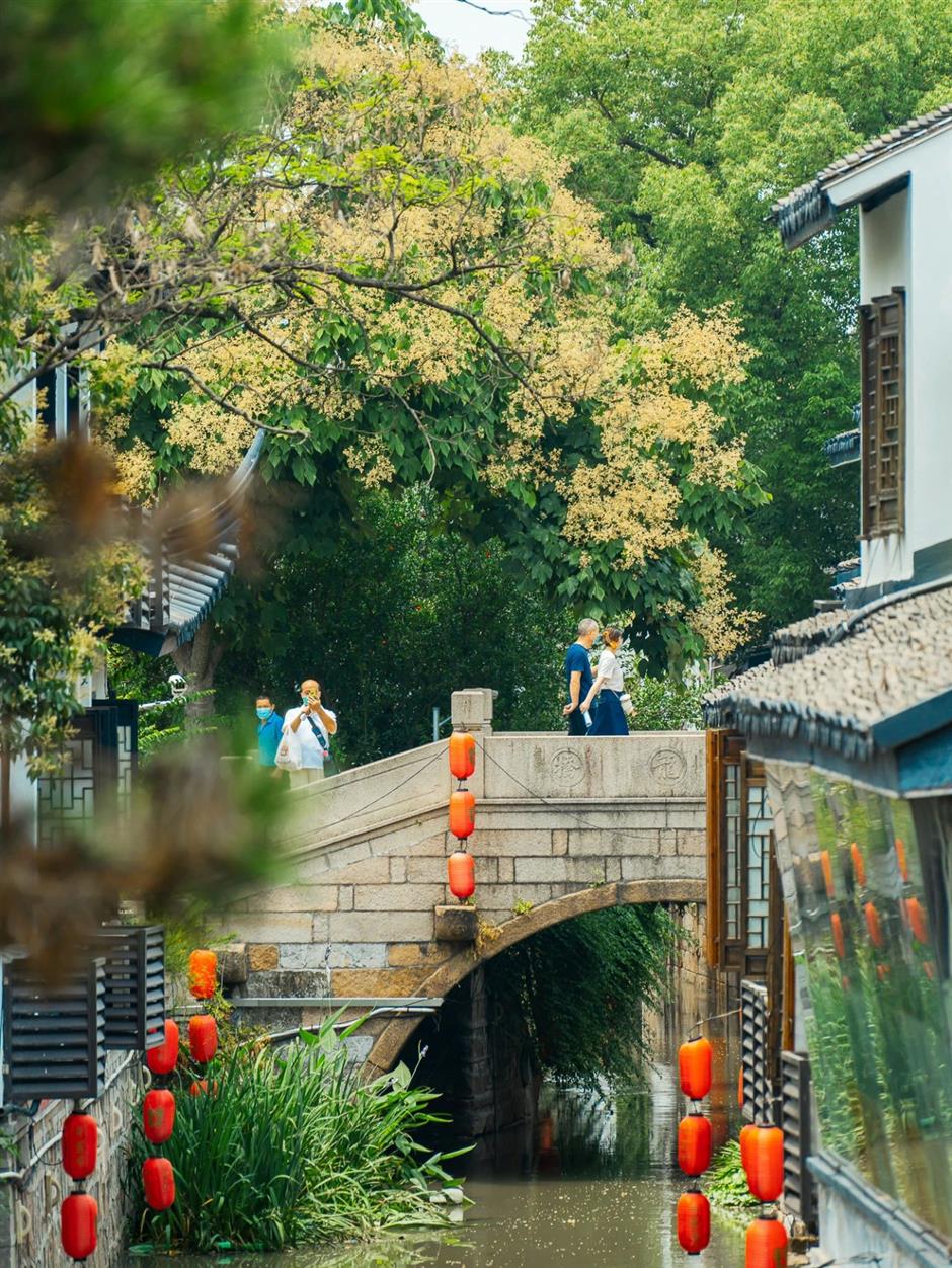 exploring shanghai's ancient towns and streets