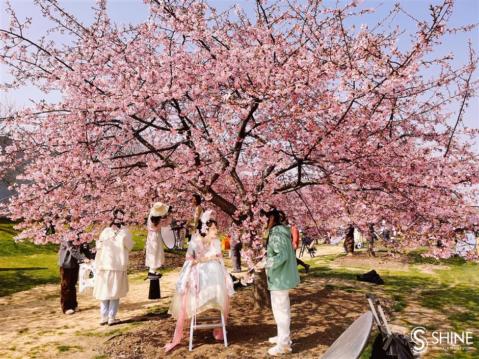 flowers, fun and festivals: shanghai parks get ready to host series of activities
