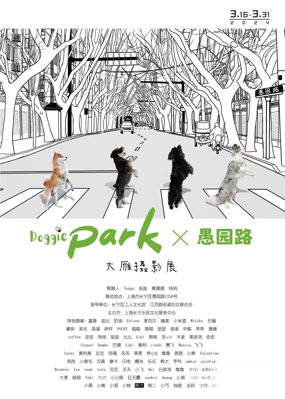 photographic exhibition depicts the dogs of yuyuan road