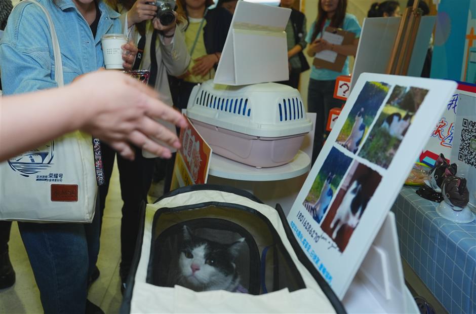 efforts of social groups in communities showcased at event