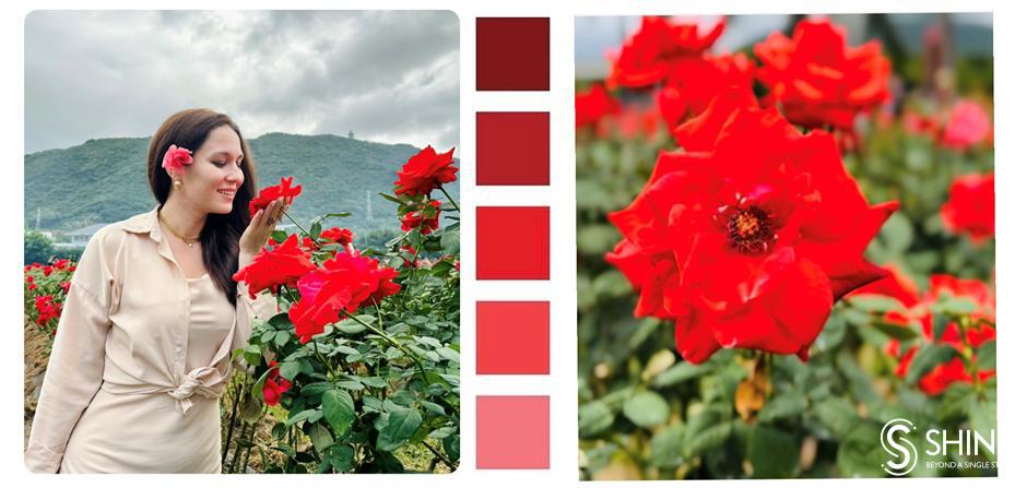 three colours of hainan: artistic journey around the island