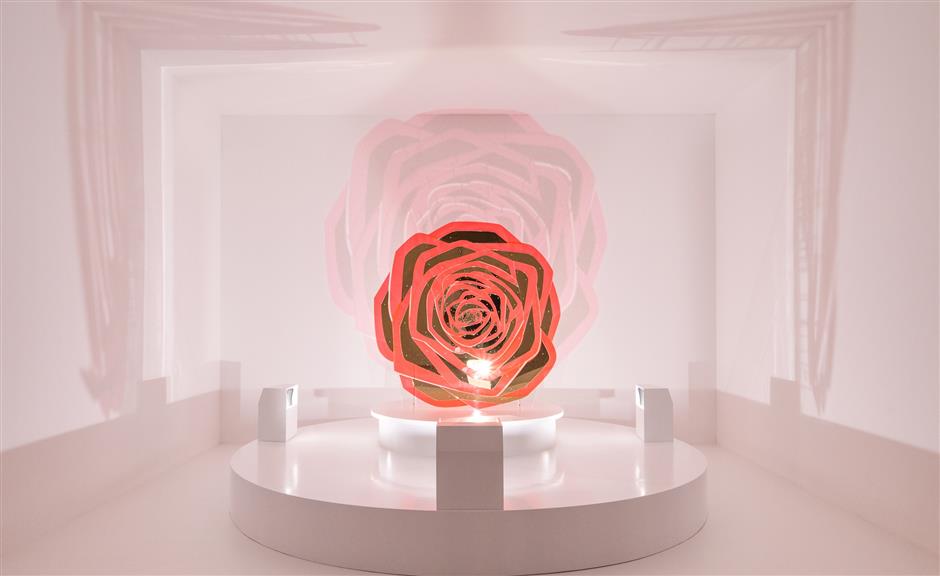 special rose inspires 'perpetual, beyond time' exhibition
